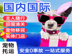 且末玉都航空货运国际宠物托运 【国